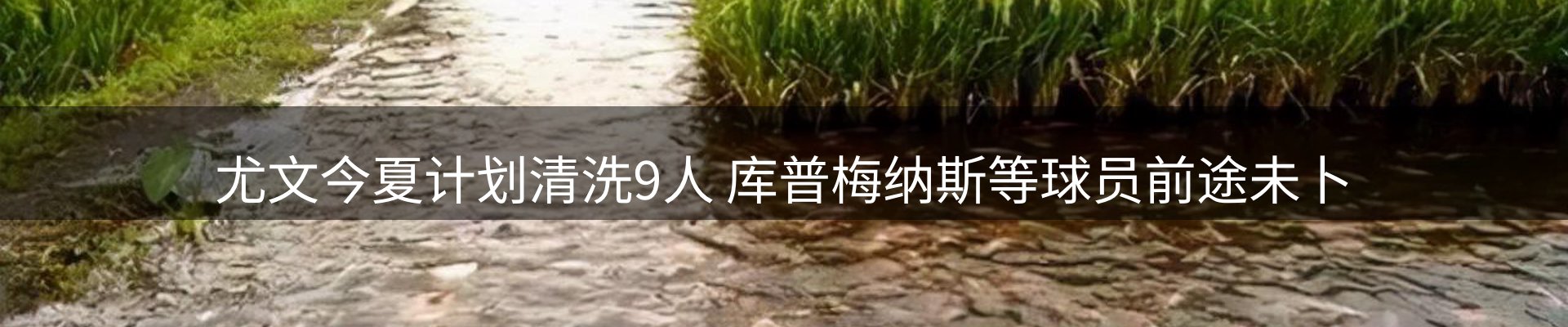 内页banner