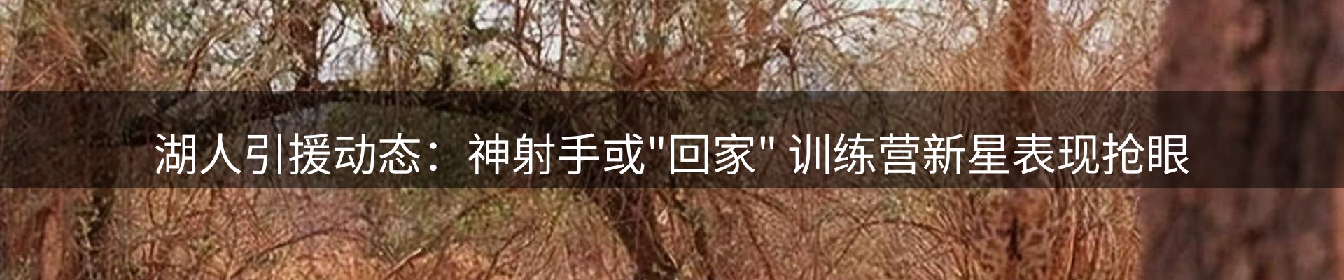 内页banner